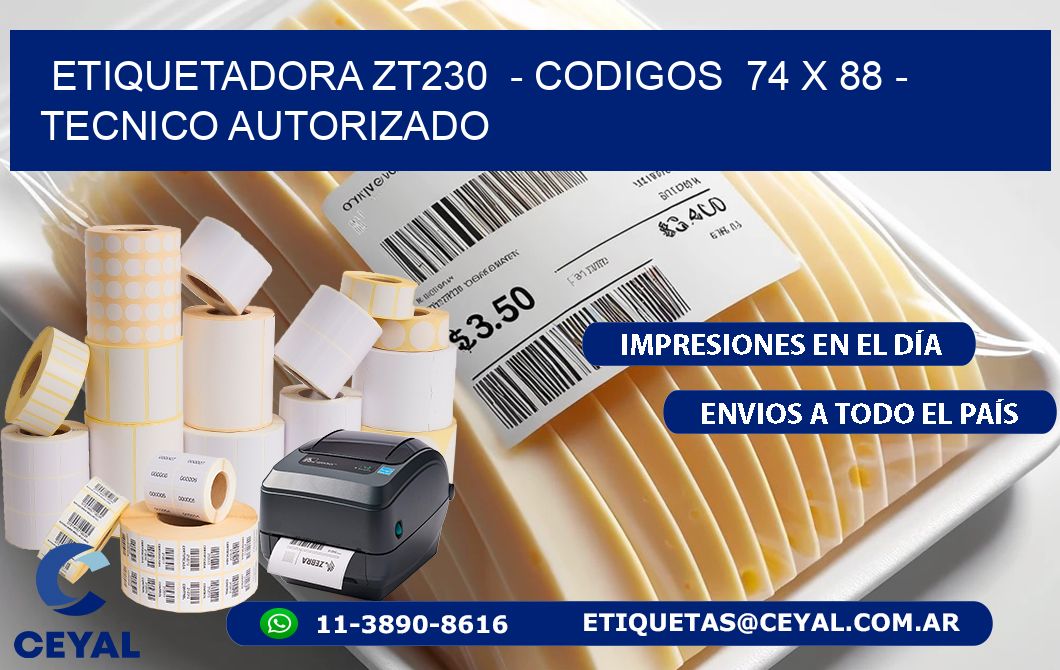 ETIQUETADORA ZT230  - CODIGOS  74 x 88 - TECNICO AUTORIZADO