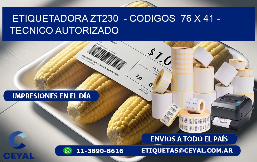 ETIQUETADORA ZT230  – CODIGOS  76 x 41 – TECNICO AUTORIZADO