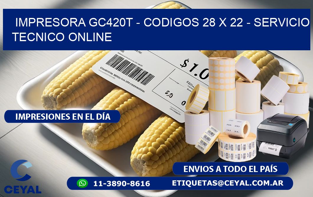 IMPRESORA GC420T - CODIGOS 28 x 22 - SERVICIO TECNICO ONLINE