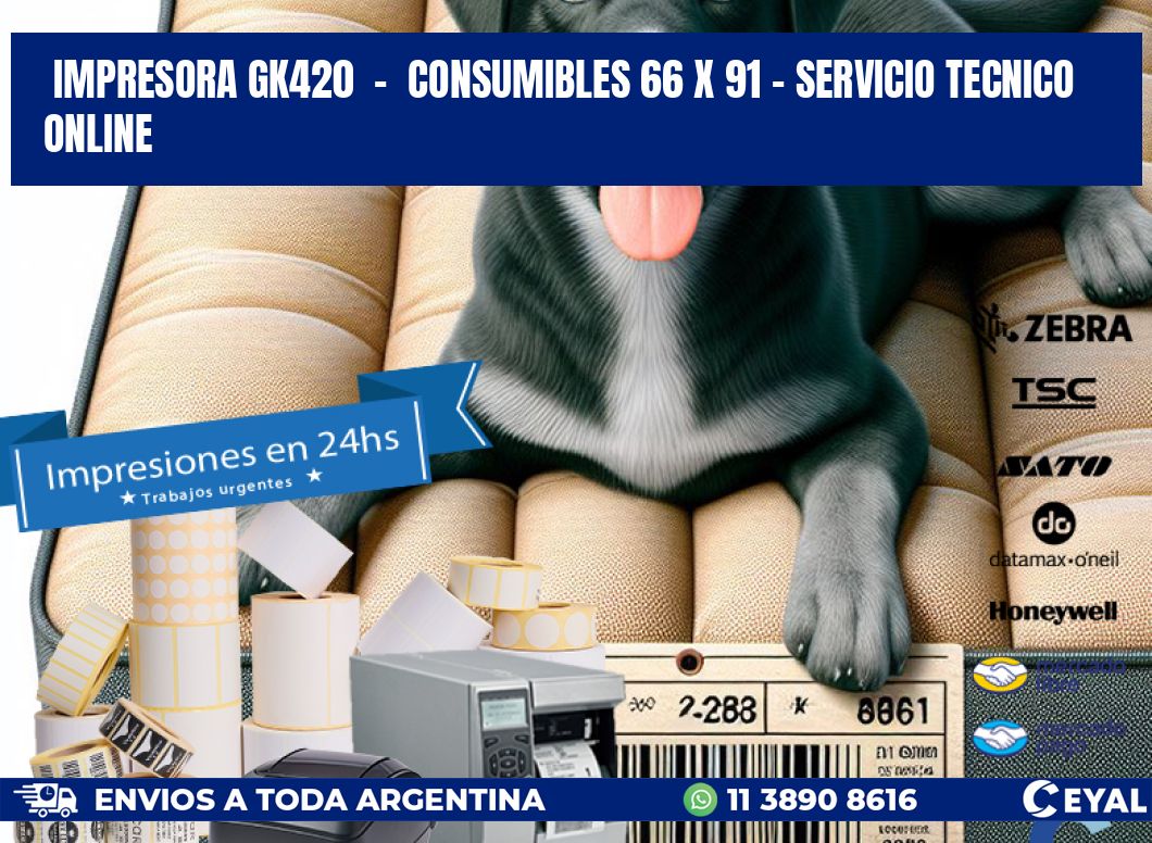 IMPRESORA GK420  -  CONSUMIBLES 66 x 91 - SERVICIO TECNICO ONLINE