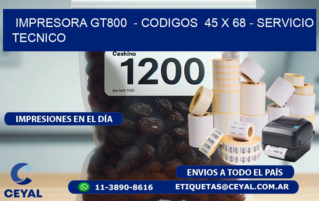 IMPRESORA GT800  - CODIGOS  45 x 68 - SERVICIO TECNICO