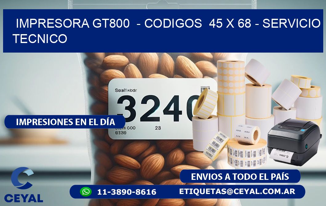 IMPRESORA GT800  - CODIGOS  45 x 68 - SERVICIO TECNICO