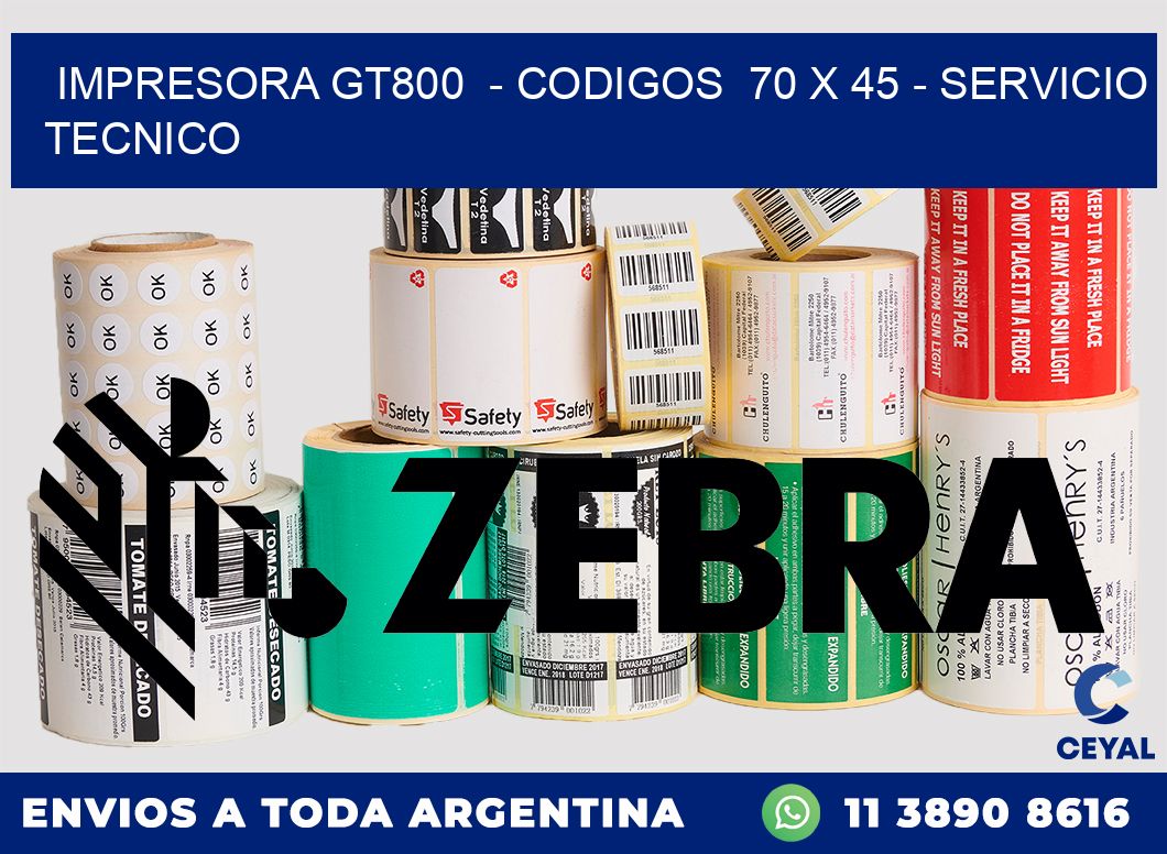 IMPRESORA GT800  - CODIGOS  70 x 45 - SERVICIO TECNICO