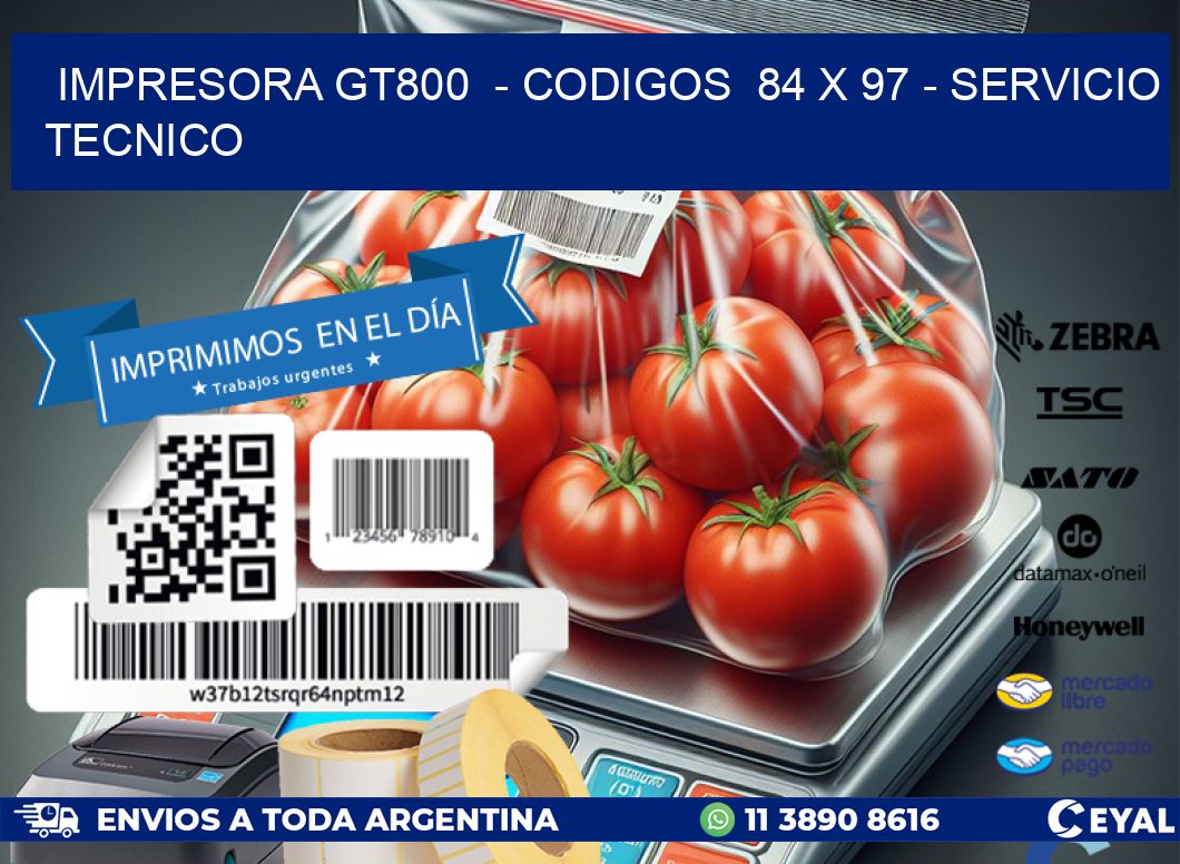 IMPRESORA GT800  – CODIGOS  84 x 97 – SERVICIO TECNICO