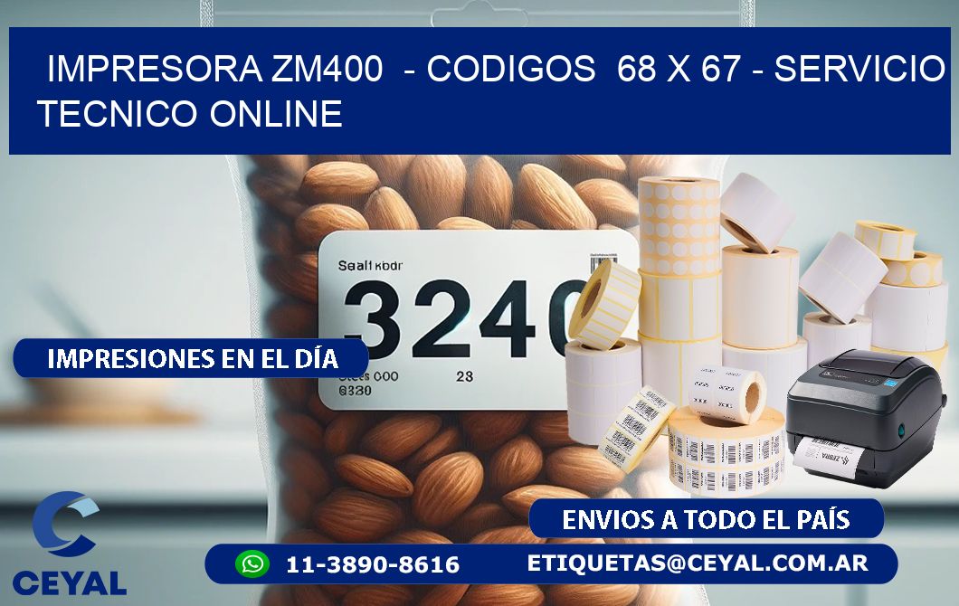 IMPRESORA ZM400  - CODIGOS  68 x 67 - SERVICIO TECNICO ONLINE