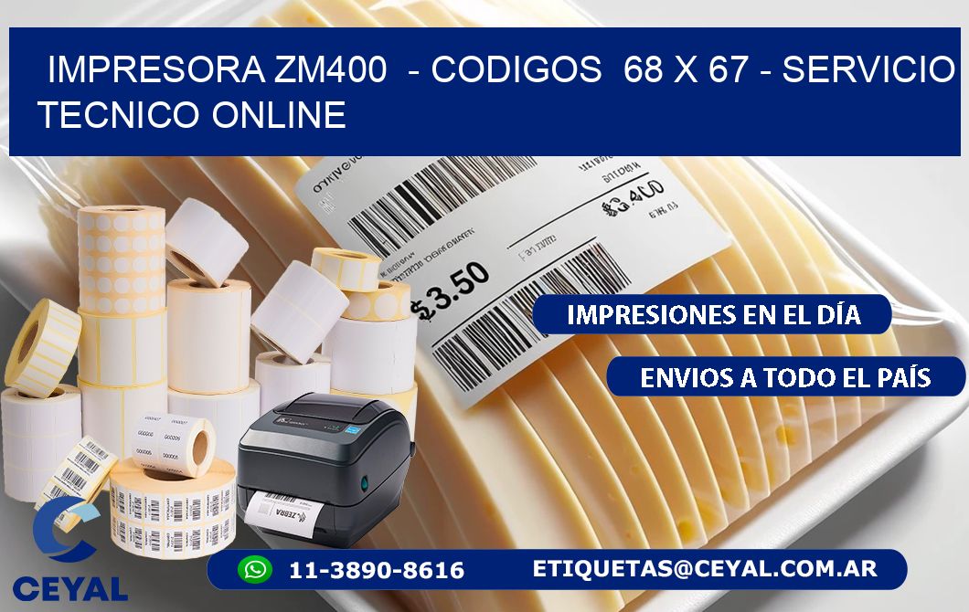 IMPRESORA ZM400  - CODIGOS  68 x 67 - SERVICIO TECNICO ONLINE