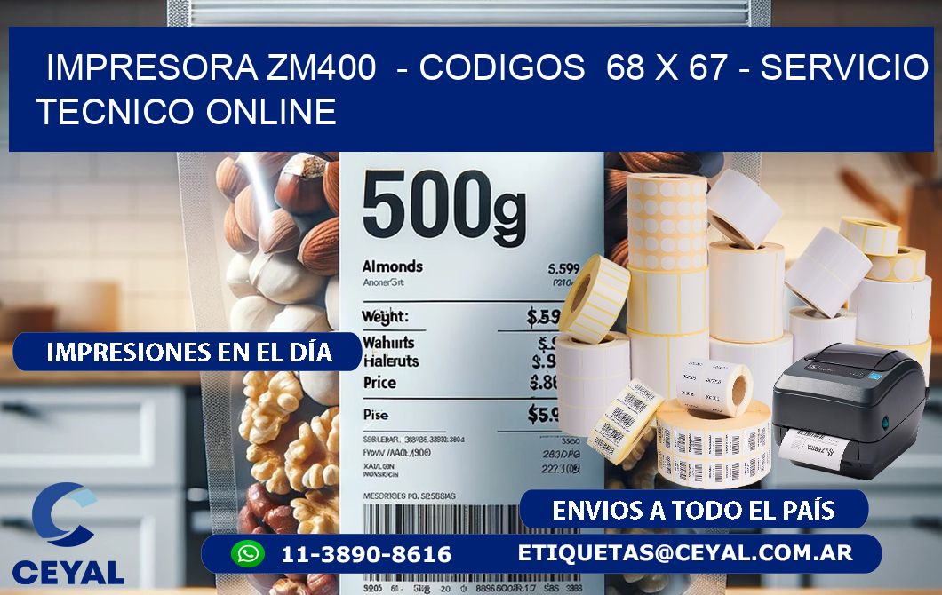 IMPRESORA ZM400  - CODIGOS  68 x 67 - SERVICIO TECNICO ONLINE