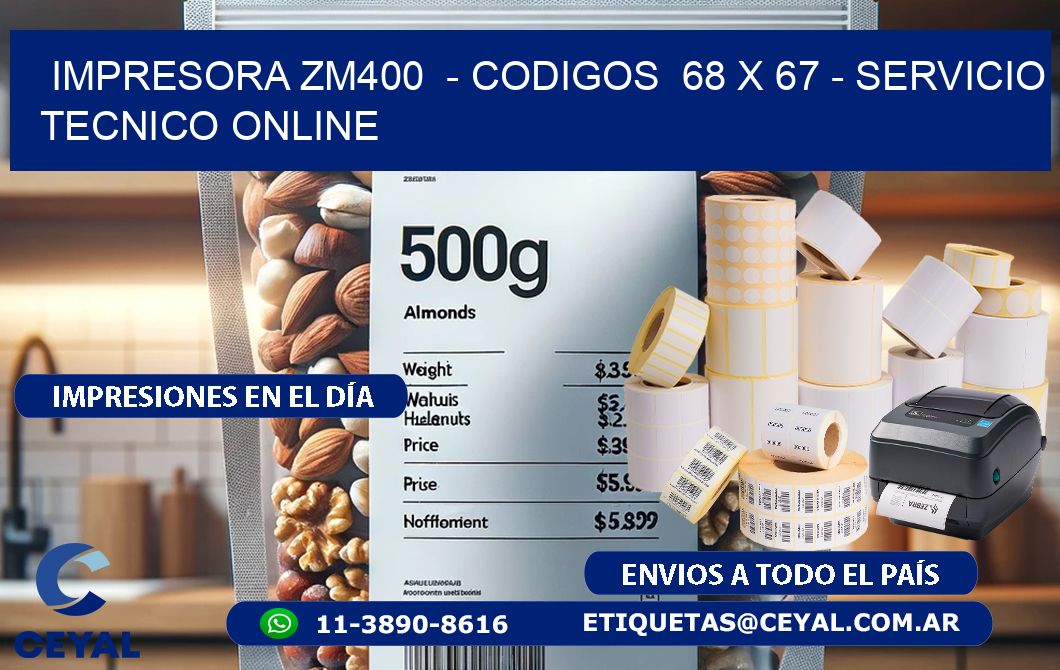 IMPRESORA ZM400  – CODIGOS  68 x 67 – SERVICIO TECNICO ONLINE