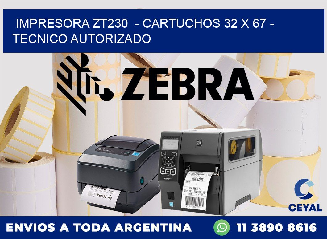 IMPRESORA ZT230  - CARTUCHOS 32 x 67 - TECNICO AUTORIZADO