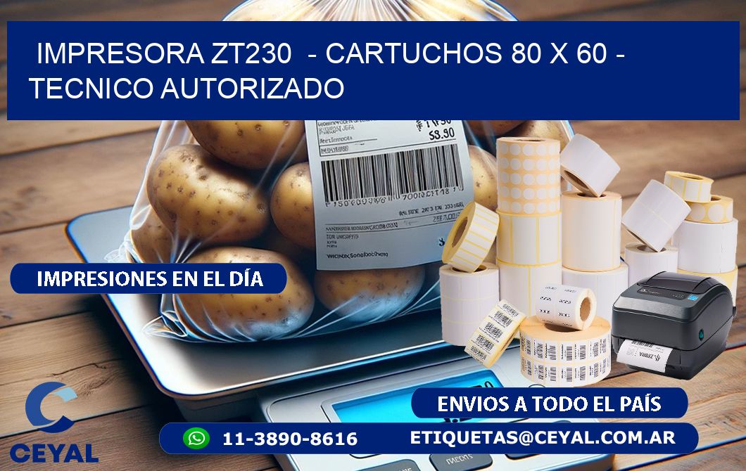 IMPRESORA ZT230  - CARTUCHOS 80 x 60 - TECNICO AUTORIZADO