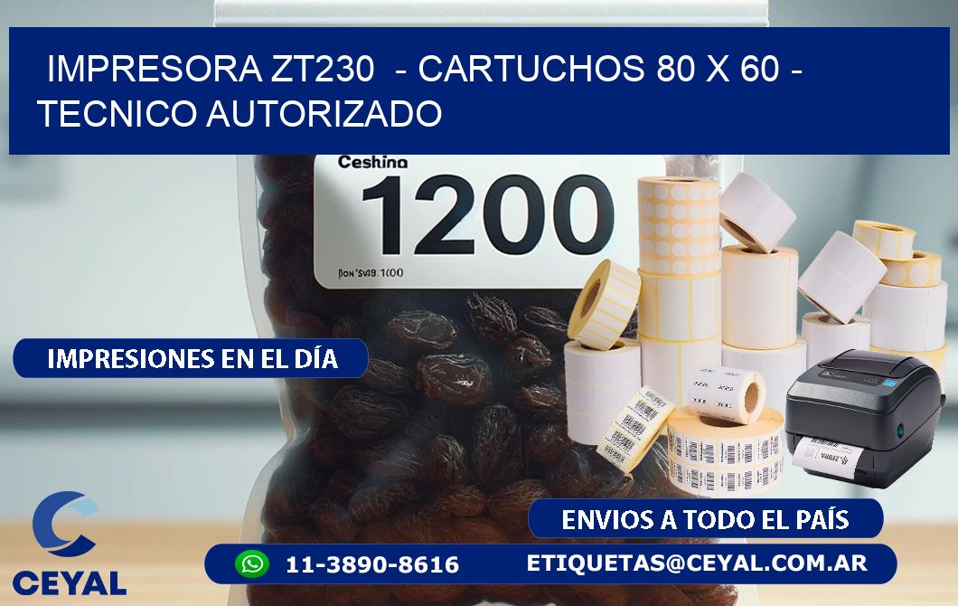 IMPRESORA ZT230  - CARTUCHOS 80 x 60 - TECNICO AUTORIZADO
