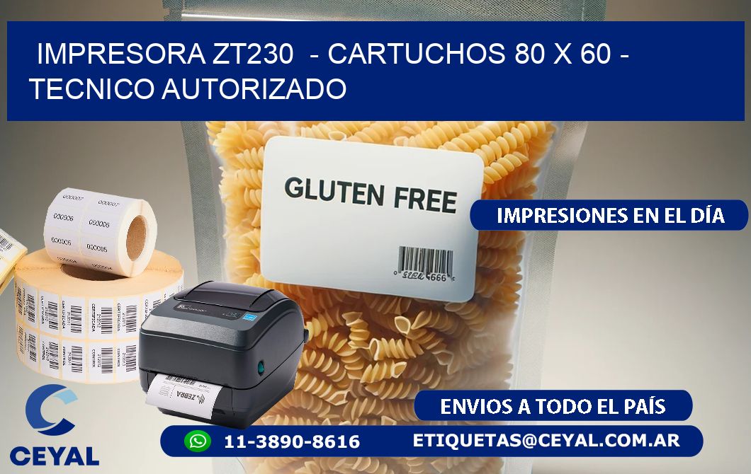 IMPRESORA ZT230  - CARTUCHOS 80 x 60 - TECNICO AUTORIZADO