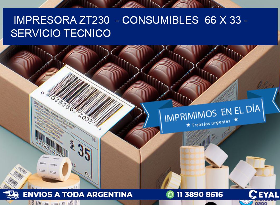 IMPRESORA ZT230 - CONSUMIBLES 66 x 33 - SERVICIO TECNICO