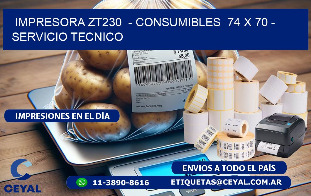 IMPRESORA ZT230  - CONSUMIBLES  74 x 70 - SERVICIO TECNICO