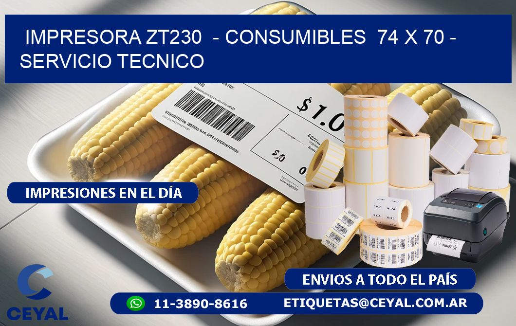 IMPRESORA ZT230  - CONSUMIBLES  74 x 70 - SERVICIO TECNICO