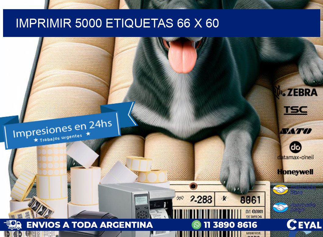 IMPRIMIR 5000 ETIQUETAS 66 x 60