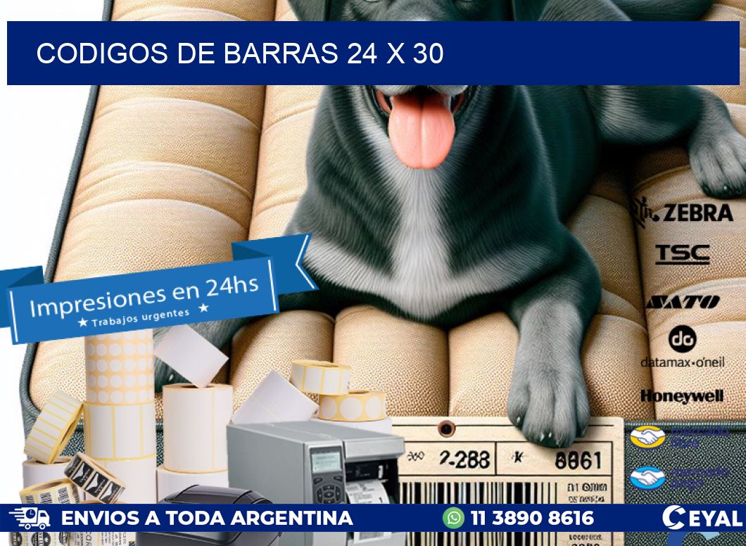 codigos de barras 24 x 30