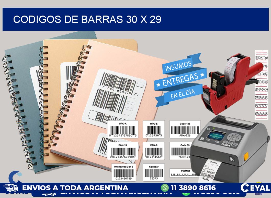 codigos de barras 30 x 29