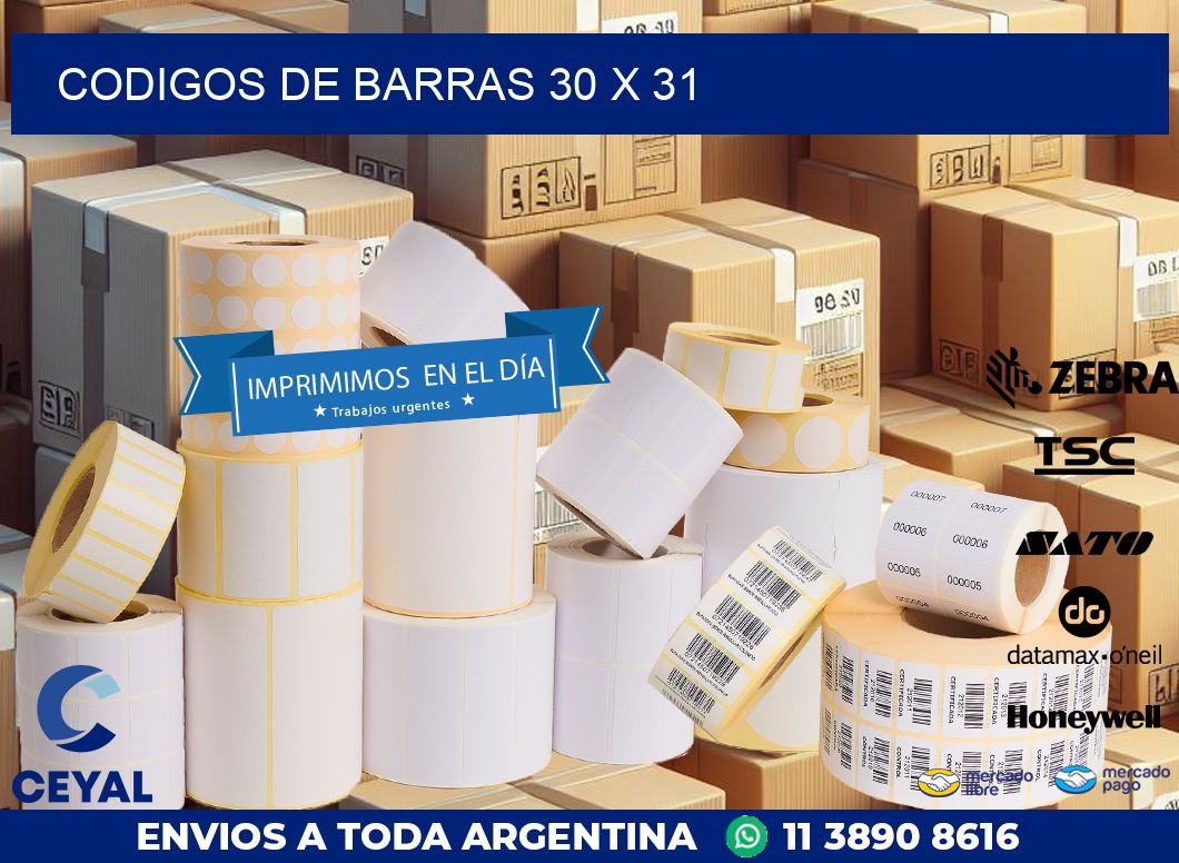 codigos de barras 30 x 31