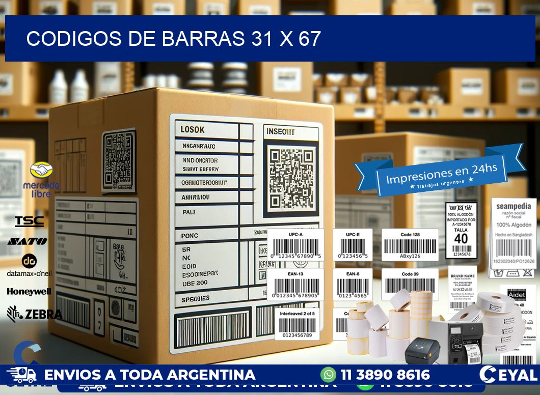 codigos de barras 31 x 67