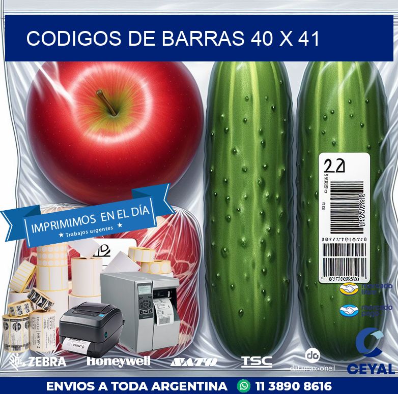 codigos de barras 40 x 41