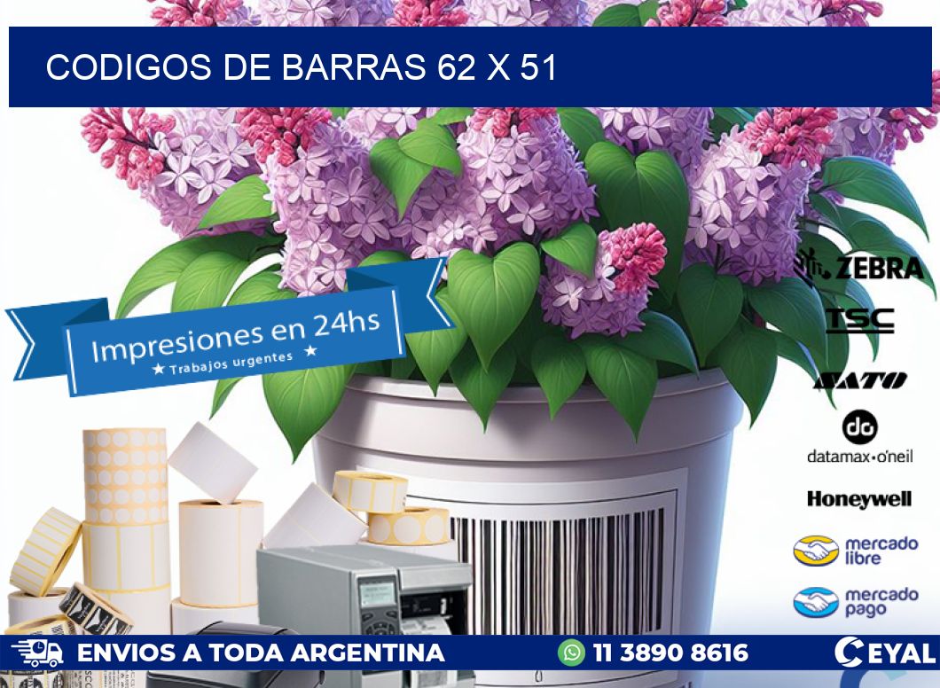 codigos de barras 62 x 51