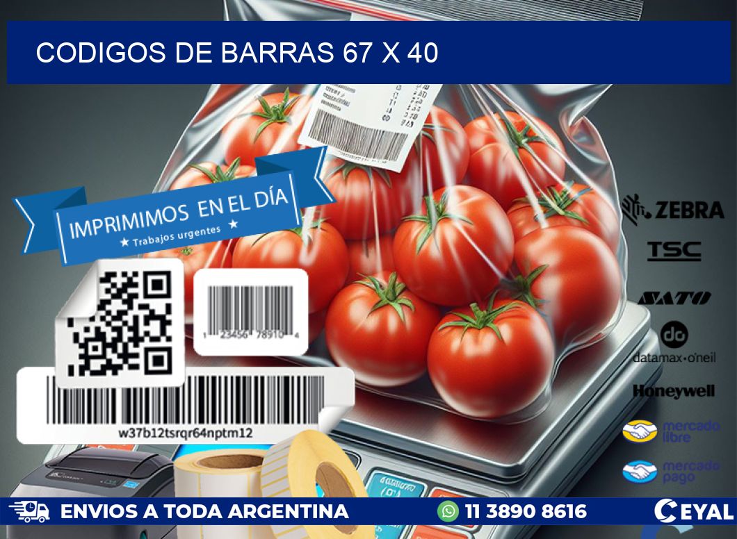 codigos de barras 67 x 40