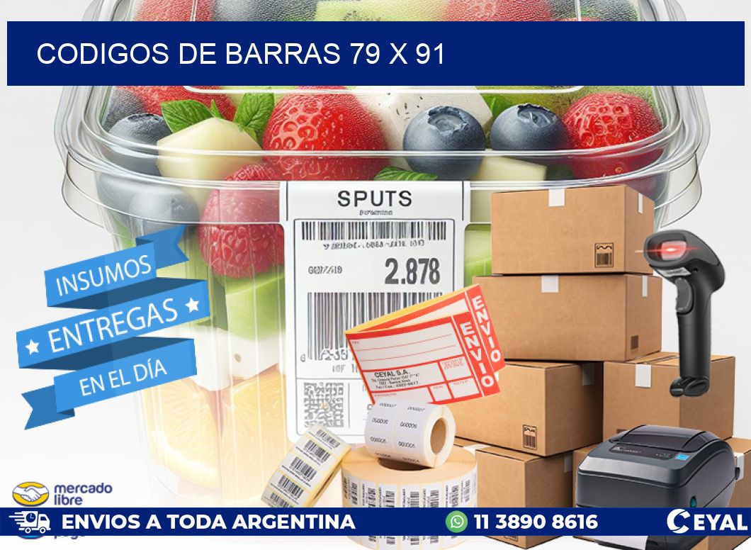codigos de barras 79 x 91