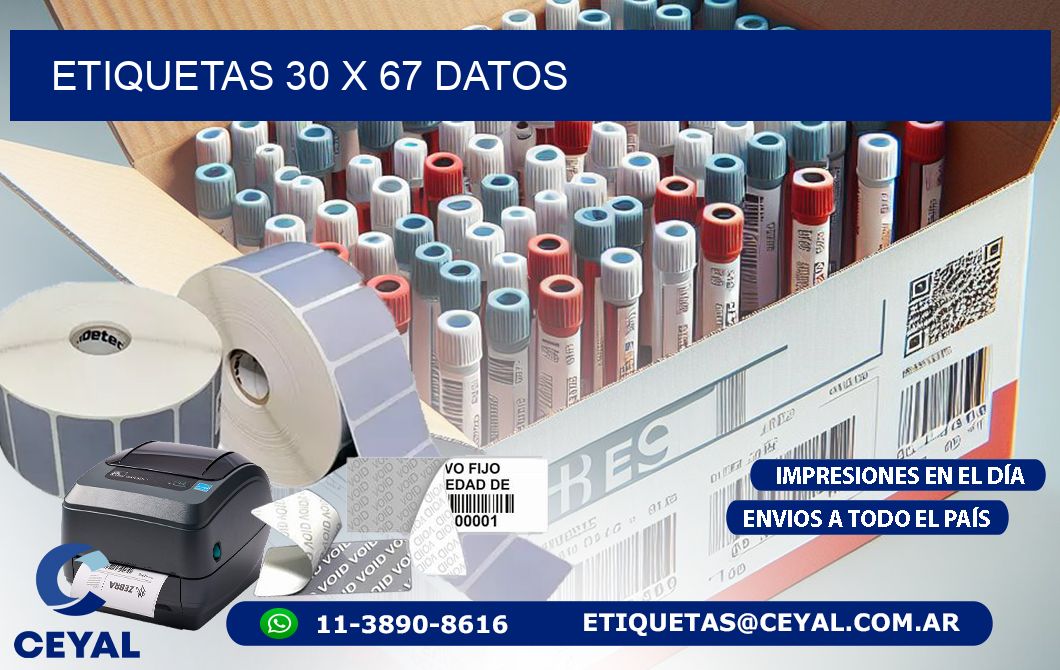 ETIQUETAS 30 x 67 DATOS