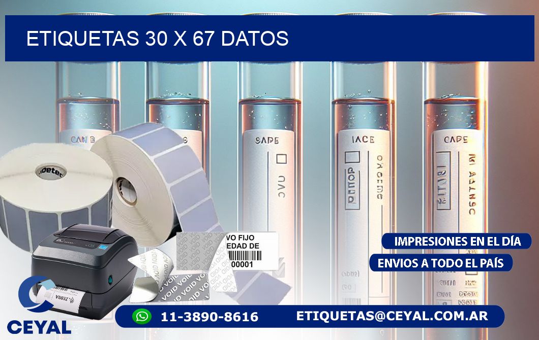 ETIQUETAS 30 x 67 DATOS