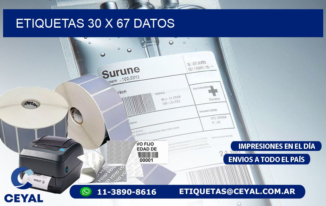 ETIQUETAS 30 x 67 DATOS