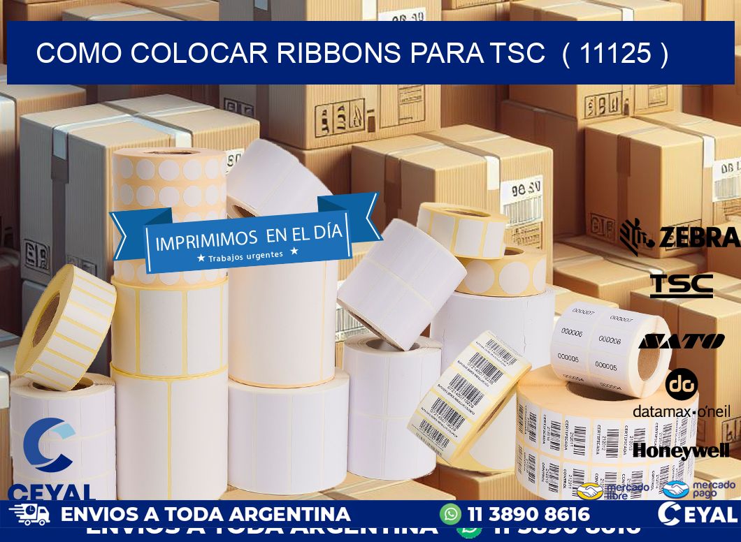 COMO COLOCAR RIBBONS PARA TSC  ( 11125 )