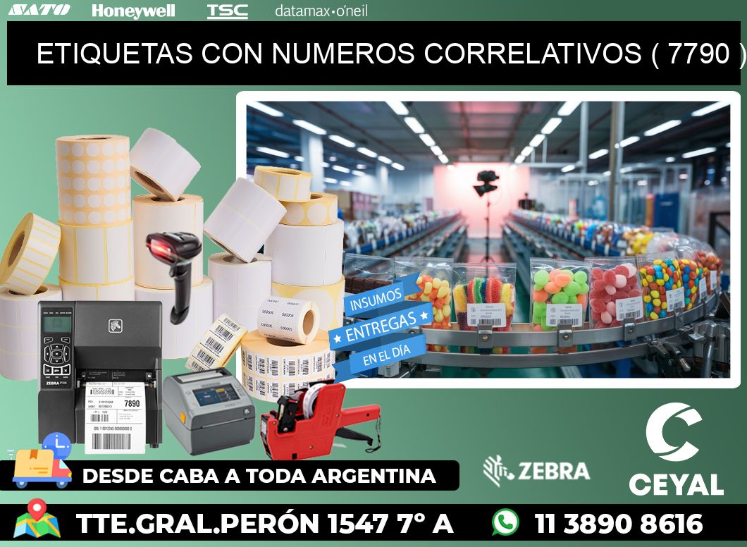 ETIQUETAS CON NUMEROS CORRELATIVOS ( 7790 )