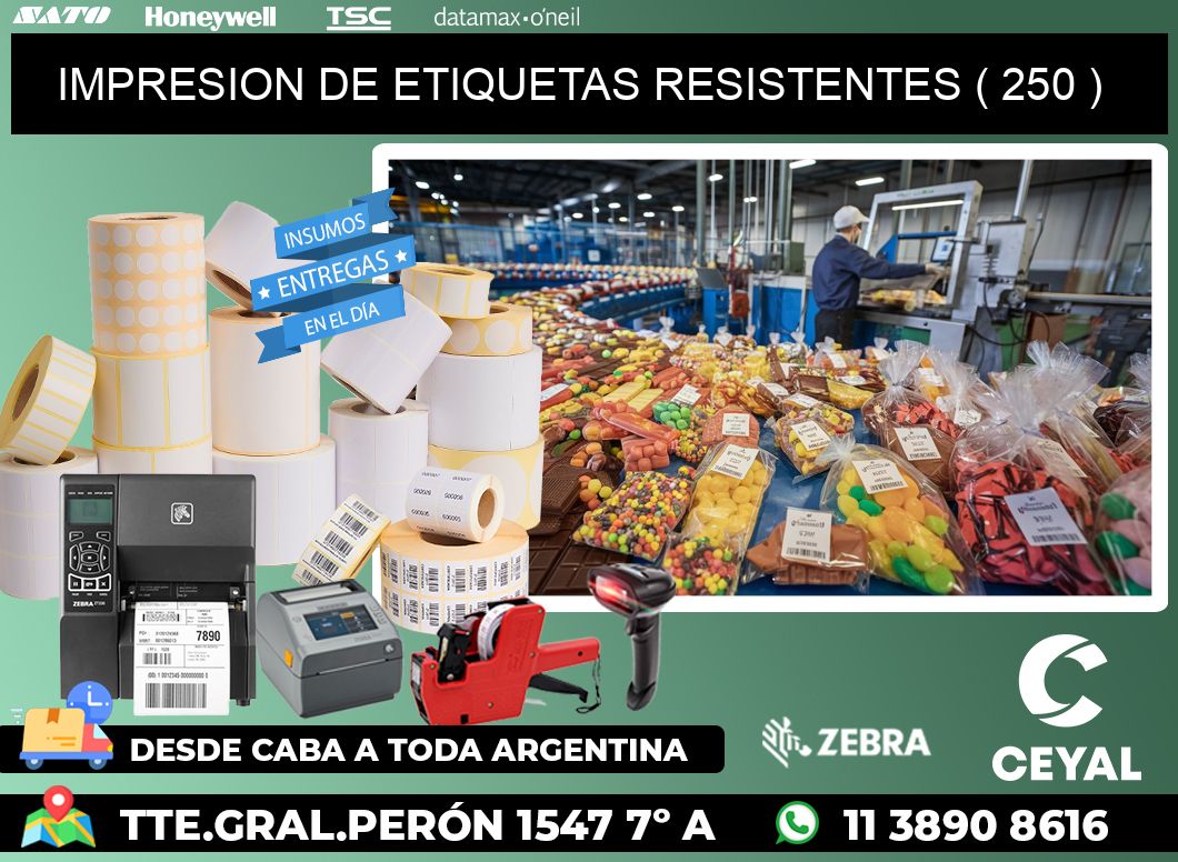 IMPRESION DE ETIQUETAS RESISTENTES ( 250 )