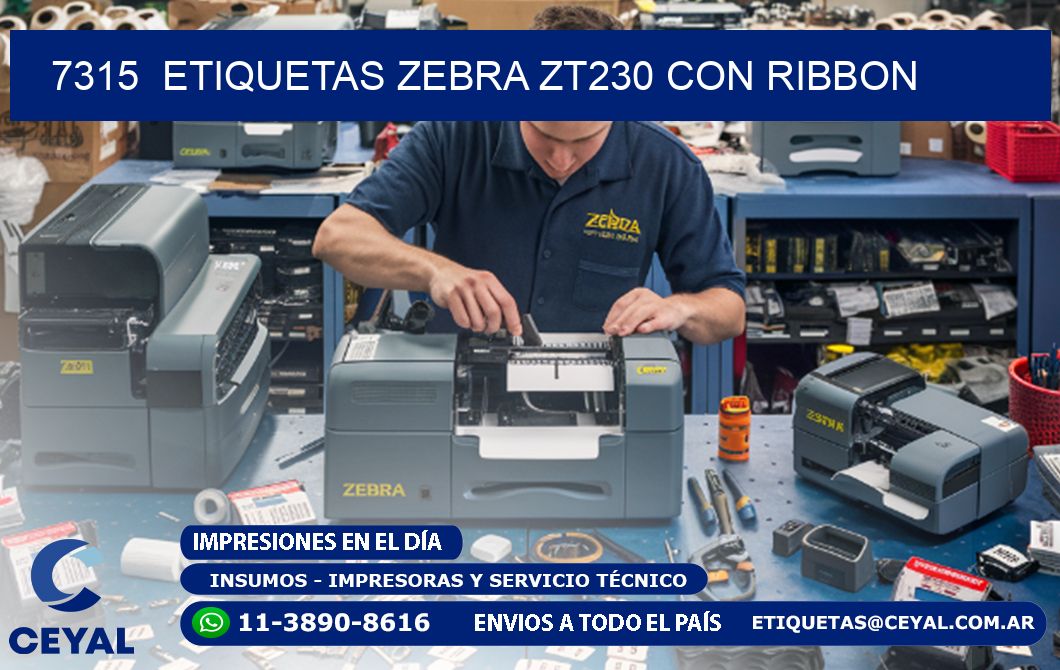 7315  ETIQUETAS ZEBRA ZT230 CON RIBBON