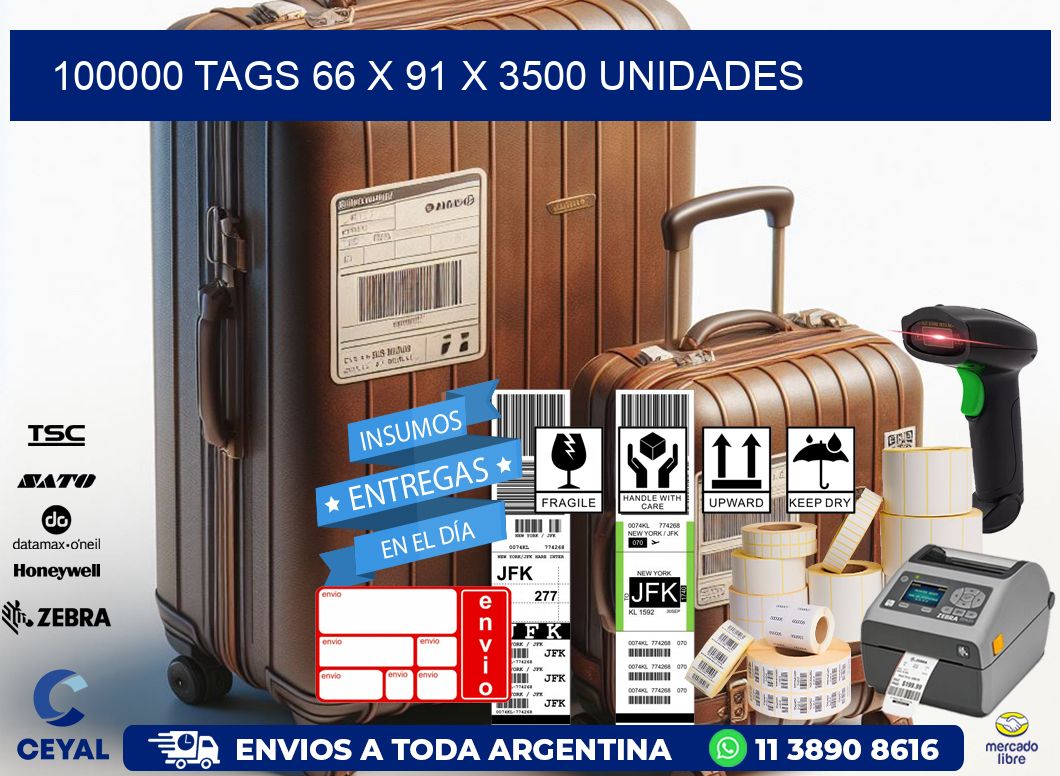 100000 TAGS 66 x 91 X 3500 UNIDADES