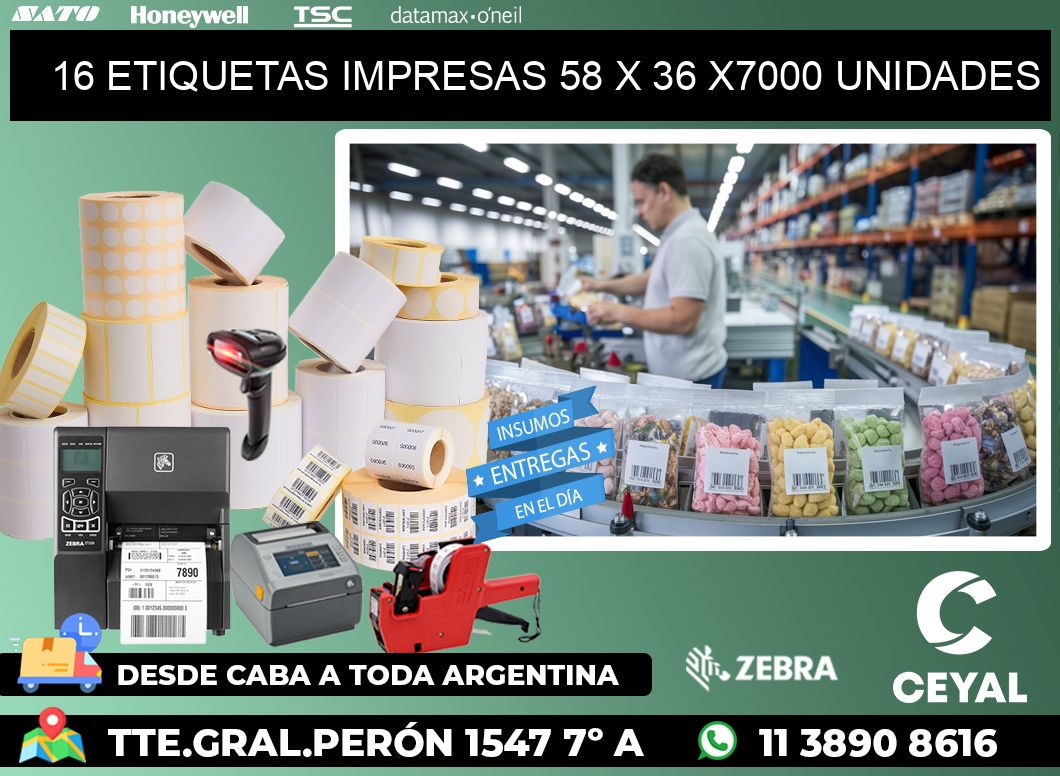 16 ETIQUETAS IMPRESAS 58 x 36 X7000 UNIDADES