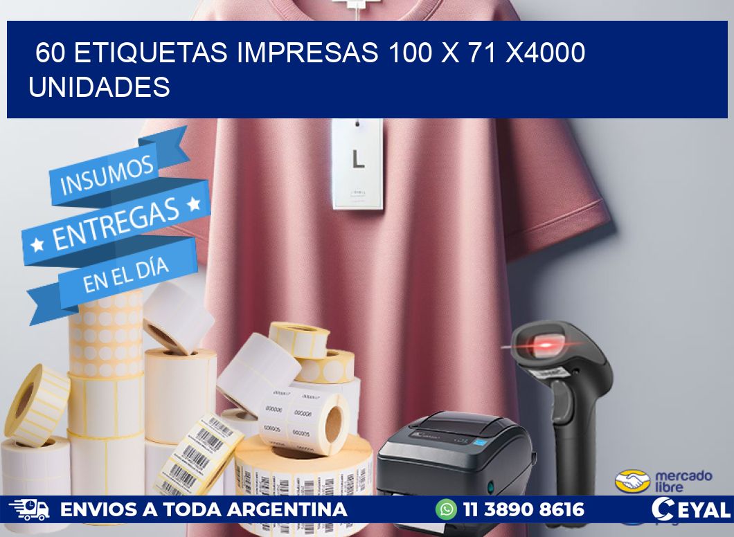 60 ETIQUETAS IMPRESAS 100 x 71 X4000 UNIDADES