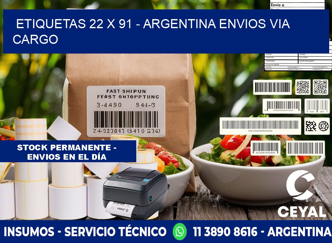 ETIQUETAS 22 x 91 - ARGENTINA ENVIOS VIA CARGO