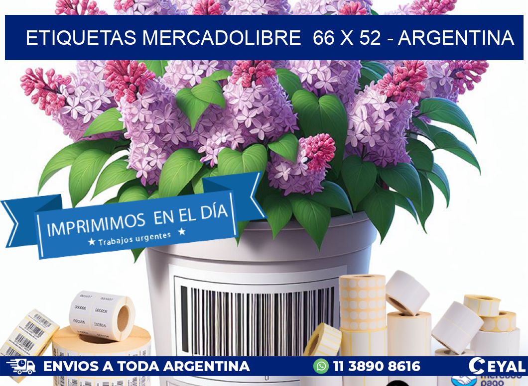 ETIQUETAS MERCADOLIBRE  66 x 52 - ARGENTINA