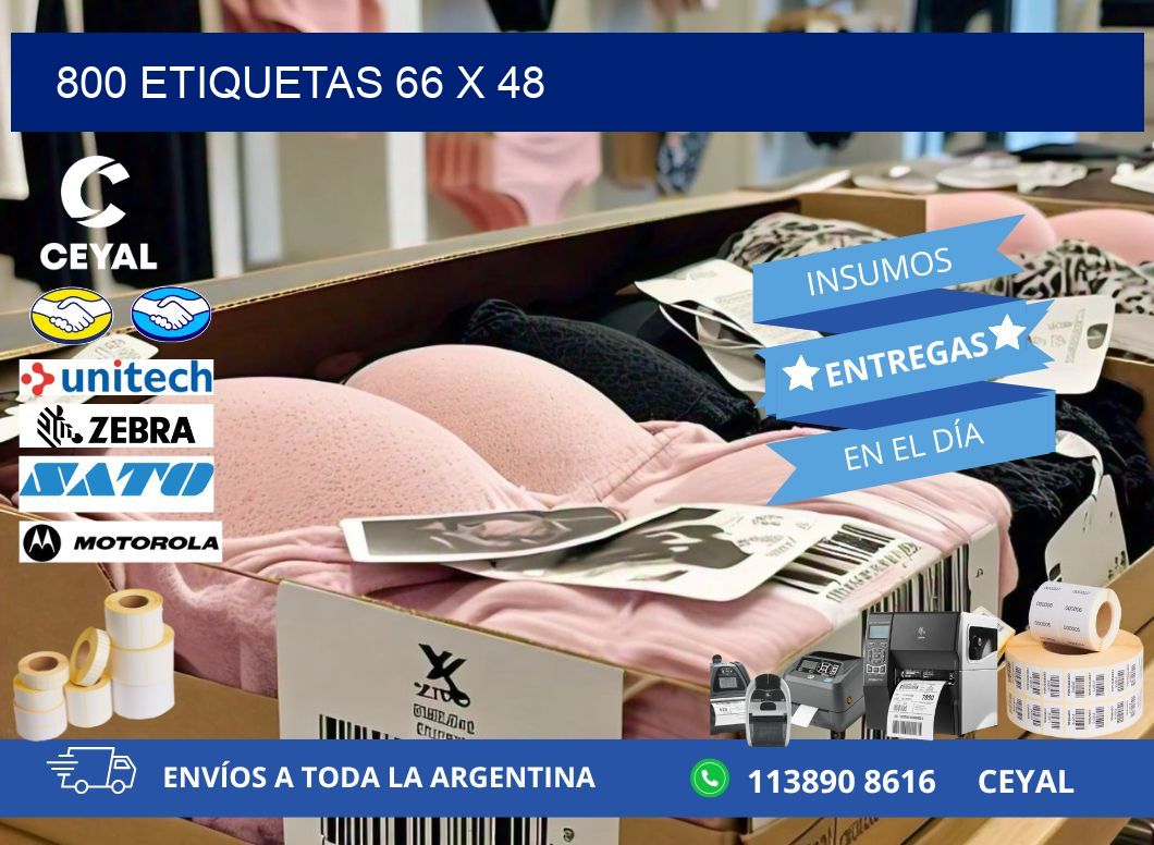 800 ETIQUETAS 66 x 48