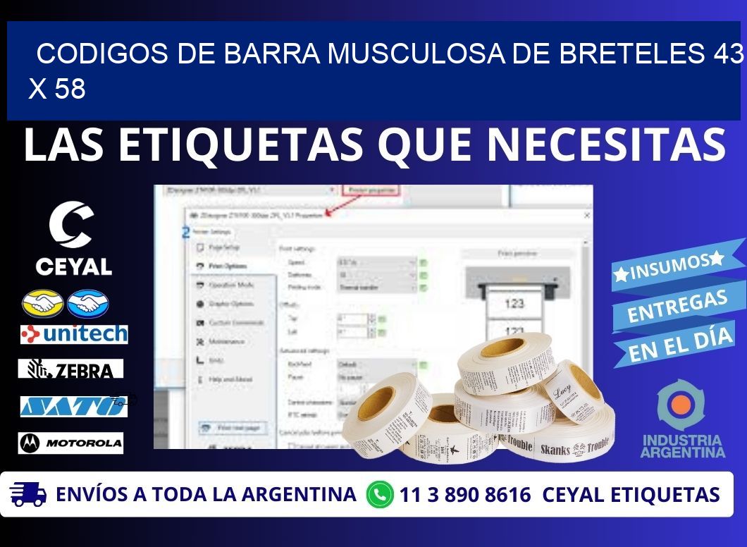 CODIGOS DE BARRA MUSCULOSA DE BRETELES 43 x 58