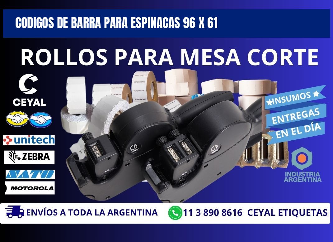 CODIGOS DE BARRA PARA ESPINACAS 96 x 61