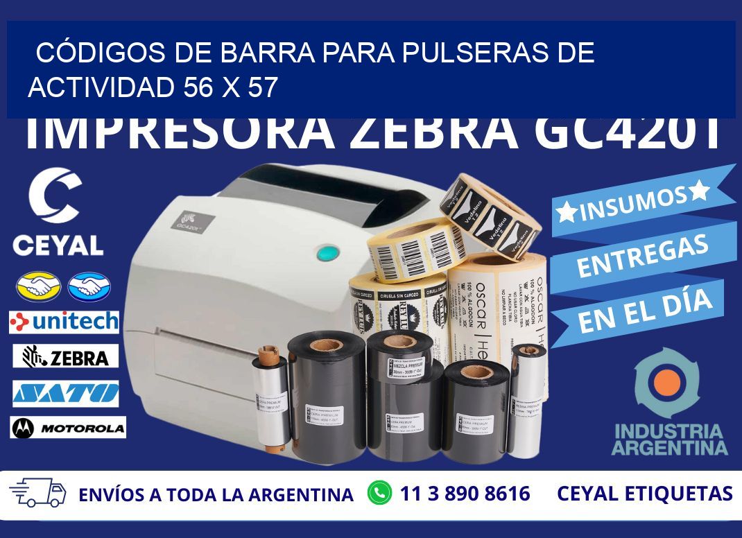 CÓDIGOS DE BARRA PARA PULSERAS DE ACTIVIDAD 56 x 57