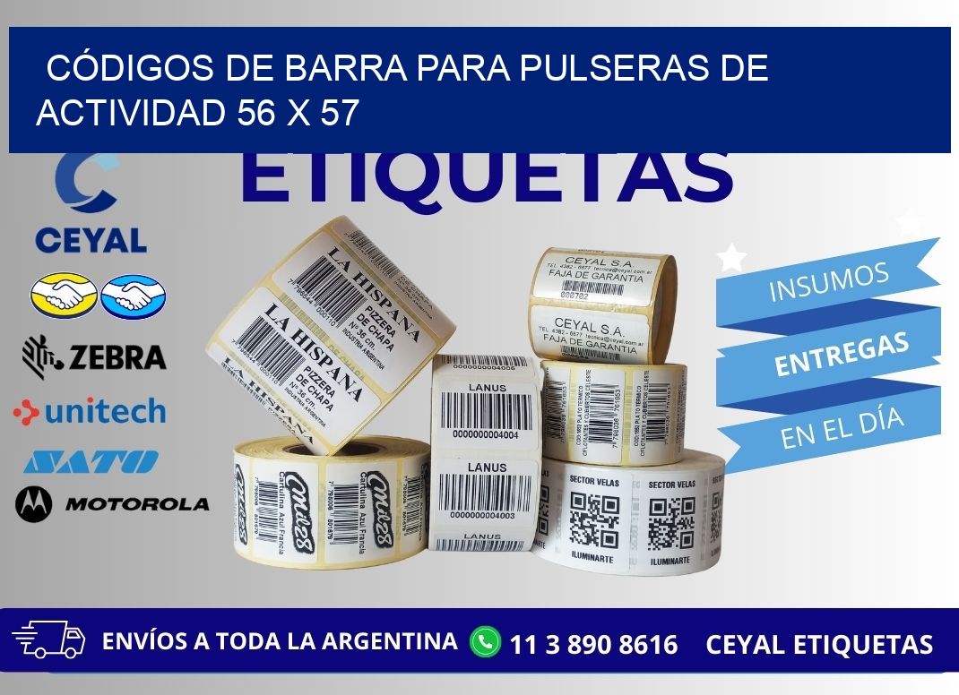 CÓDIGOS DE BARRA PARA PULSERAS DE ACTIVIDAD 56 x 57