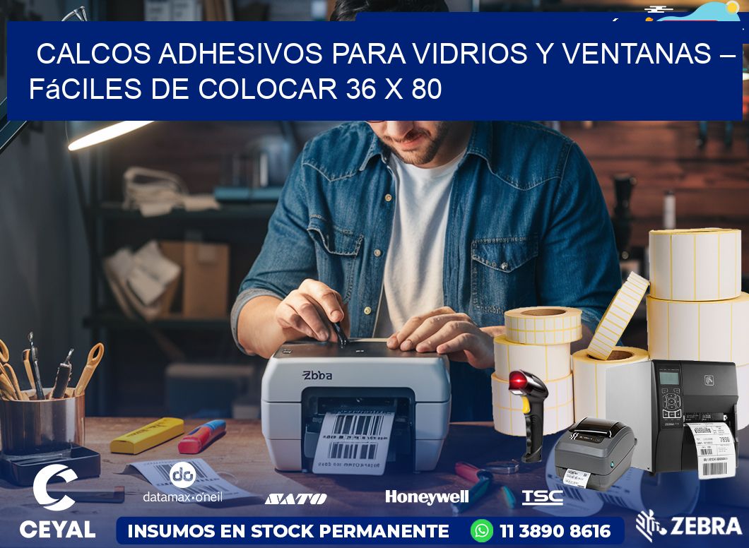 Calcos Adhesivos para Vidrios y Ventanas – Fáciles de Colocar 36 x 80