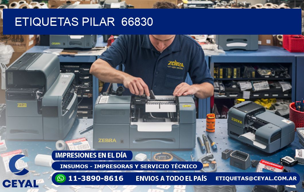 ETIQUETAS PILAR  66830