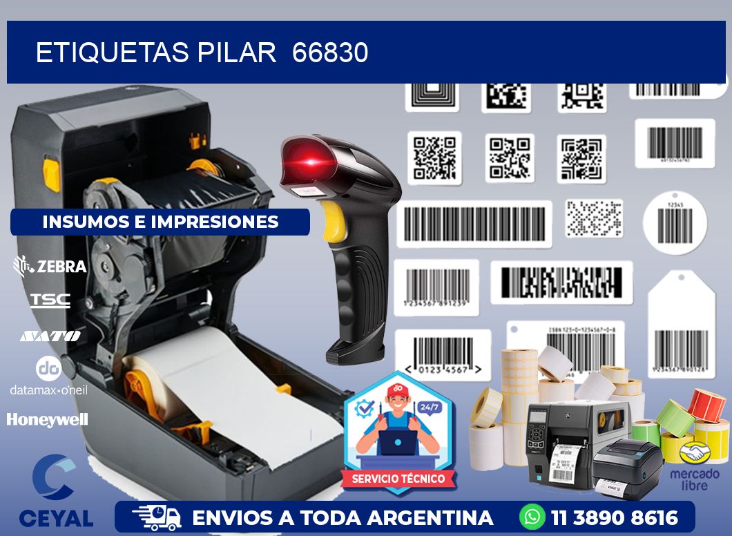 ETIQUETAS PILAR  66830