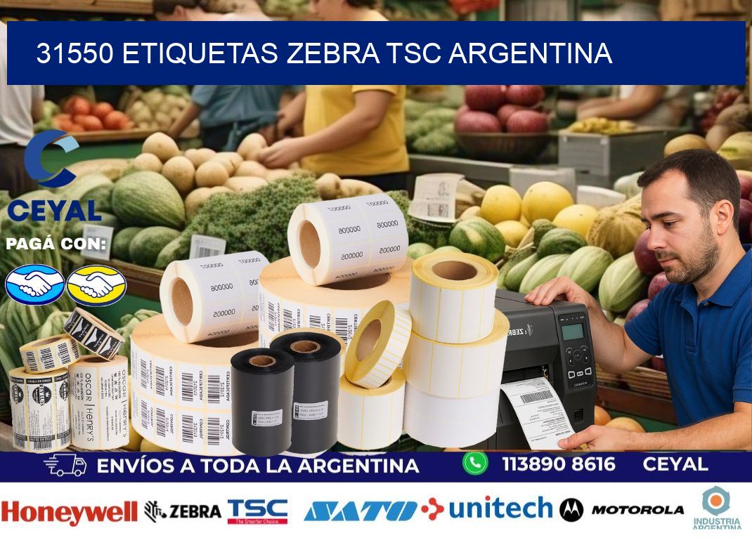 31550 etiquetas zebra tsc argentina