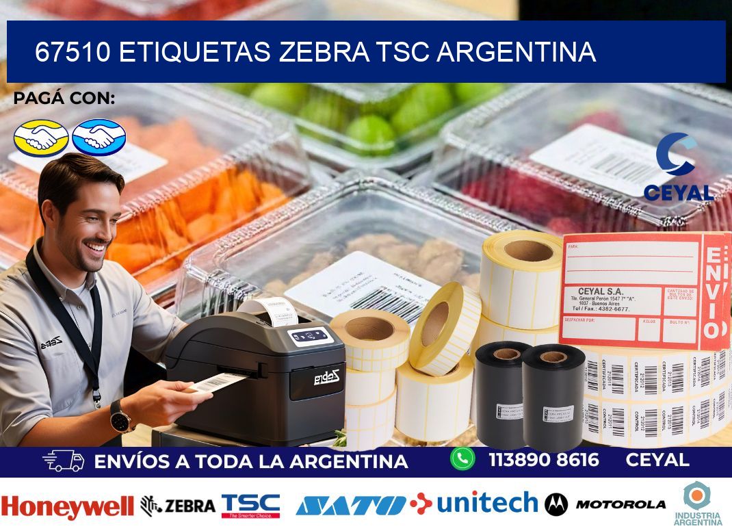 67510 etiquetas zebra tsc argentina